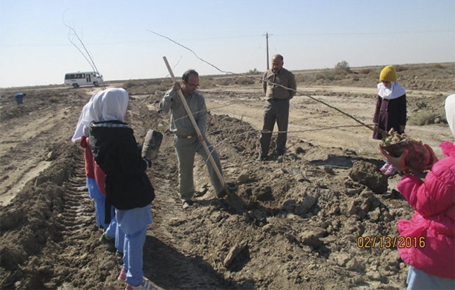 اجرای طرح جنگلانه در 30 هکتار از اراضی خرمشهر