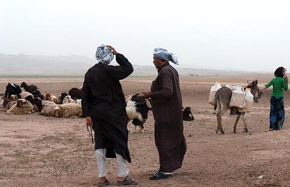 زندگی عشایر عرب خوزستان- آخرین اخبار ایران و خوزستان درپایگاه خبری تحلیلی خوزنیوز - KHOUZNEWS.IR