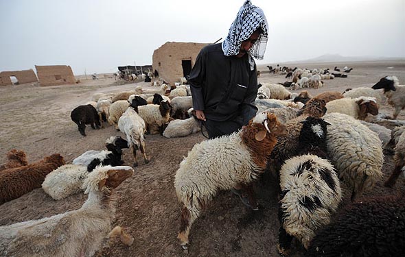 زندگی عشایر عرب خوزستان- آخرین اخبار ایران و خوزستان درپایگاه خبری تحلیلی خوزنیوز - KHOUZNEWS.IR