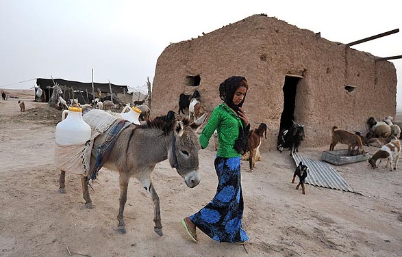 زندگی عشایر عرب خوزستان- آخرین اخبار ایران و خوزستان درپایگاه خبری تحلیلی خوزنیوز - KHOUZNEWS.IR