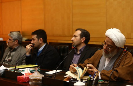 الهام چرخنده در مجلس / تصاویر