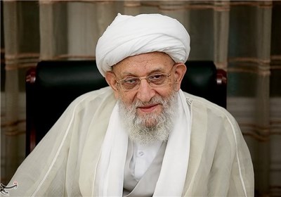 آیت الله مهدوی کنی در پی عارضه سکته قلبی به کما رفت