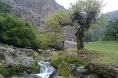 تصاویر/ طبیعت زیبای روستایی «شیمن» در ایذه خوزستان