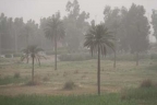 وجود ۵۶ هزار هکتار کانون گرد وغبار در آبادان