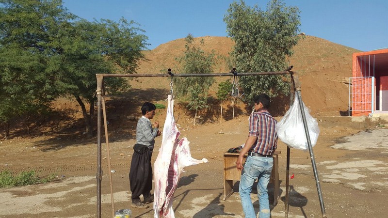 برخورد با عوامل کشتار غیرمجاز دام در جاده‌ شوشتر