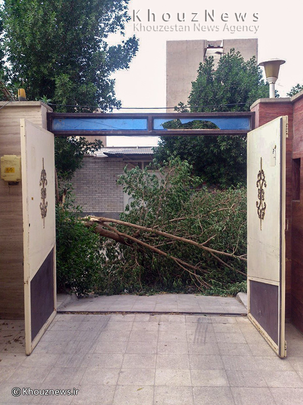 عکس/ کاربران/ ووقتی از منزل خارج می شوم!