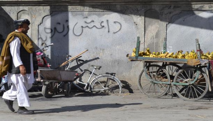 چرا طالبان به رهبر القاعده پناه داد؟