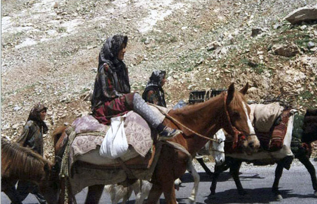 سمفونی زندگی عشایر، راهبردی برای رونق گردشگری
