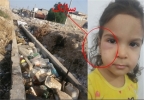 ادامه سریال «شیوع سالک» با کارگردانی شهرداری شوش!