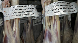 شناسنامه دار کردن گوشت های کشتارگاه شوش