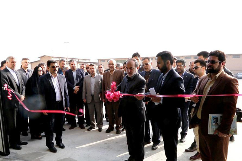 باید پای کشاورز را به مراحل پس از تولید و خلق ارزش نیز باز کنیم