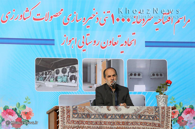 باید پای کشاورز را به مراحل پس از تولید و خلق ارزش نیز باز کنیم