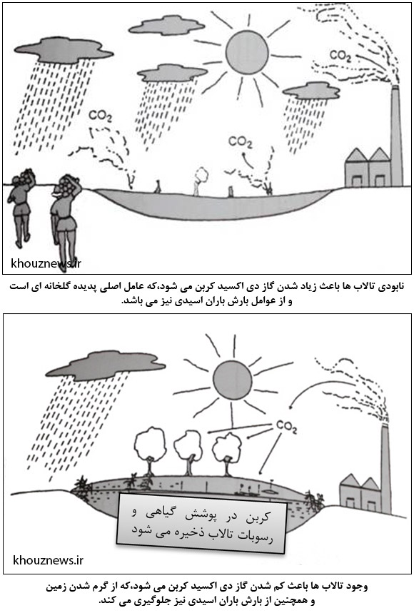 فواید تالاب ها