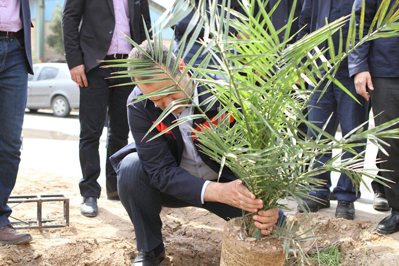 مراسم روز درختکاری در شرکت فولاد اکسین برگزار شد