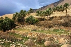نورآباد، سرزمین چشمه و چمن/از شاهکار سنگی تا طبیعت پامنار