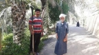 نخل‌های بخش مرکزی آبادان غزل خداحافظی می‌خوانند