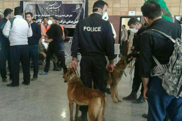 استفاده از سگ های پلیس برای تفتیش مسافران مشکوک در مرز شلمچه