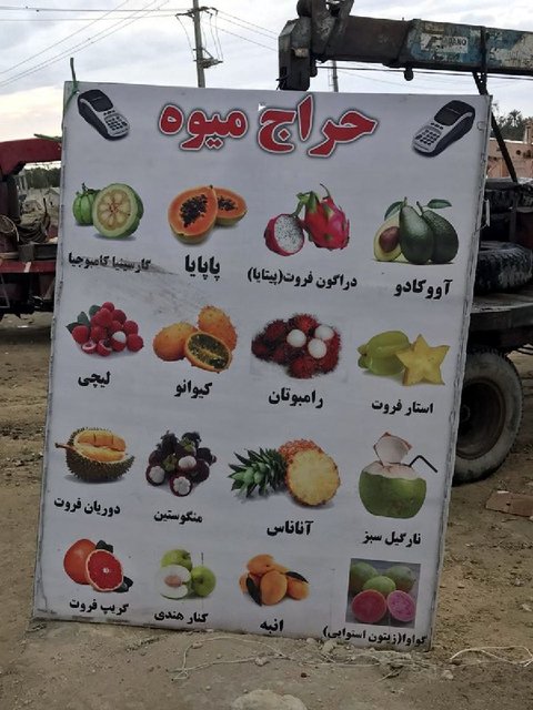 فروش میوه‌های خارجی در مناطق آزاد/ دانه‌ای ۵۰۰۰ تا ۲۵۰ هزار تومان!