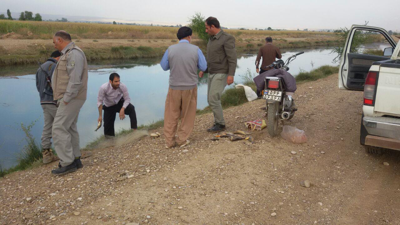 دستگیری چند گروه شکارچی وصیاد غیرمجاز در محدوده پارک ملی کرخه
