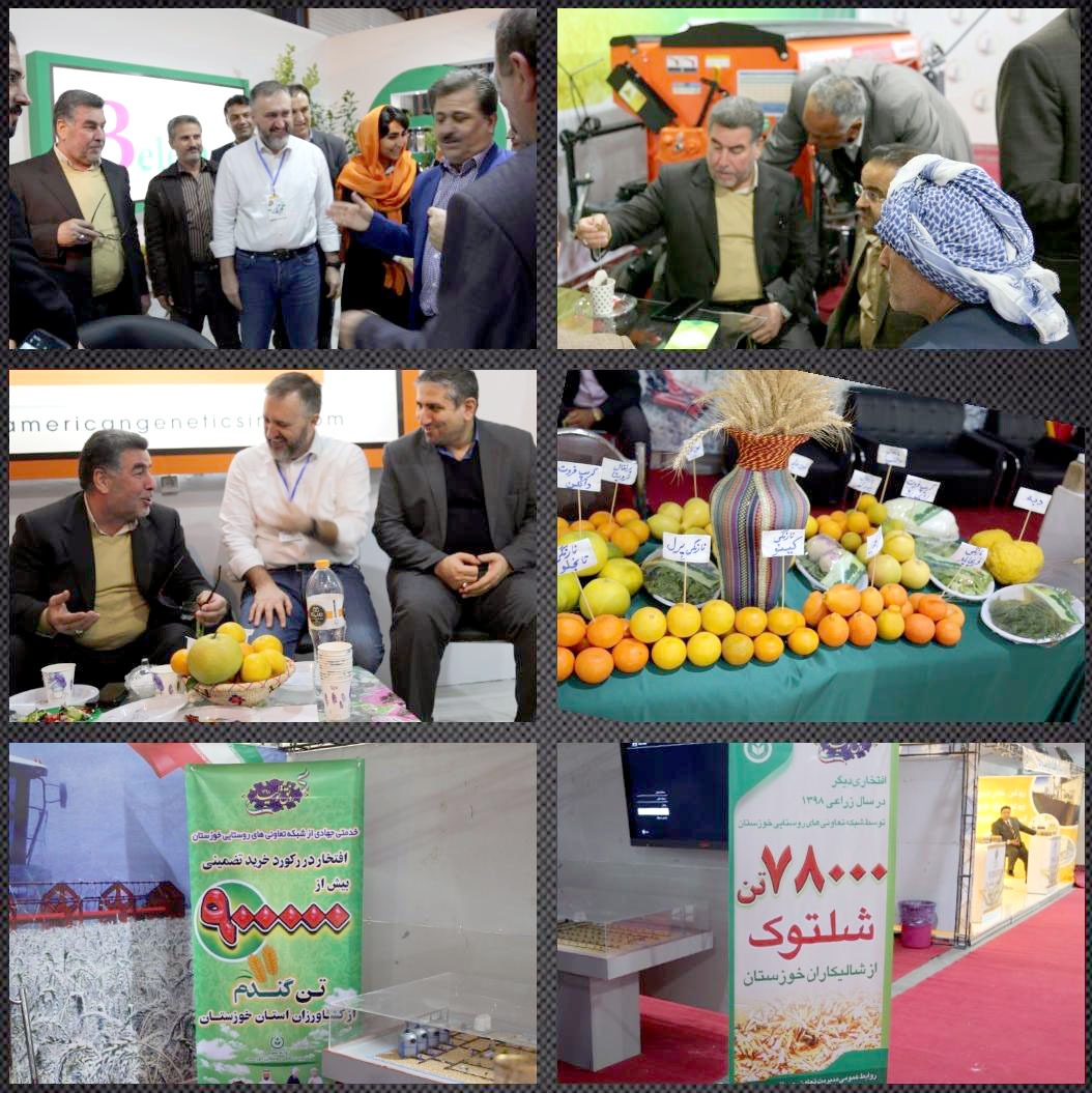 بازدید مدیر تعاون روستایی خوزستان از نهمین نمایشگاه بین الملی صنایع و ماشین آلات کشاورزی