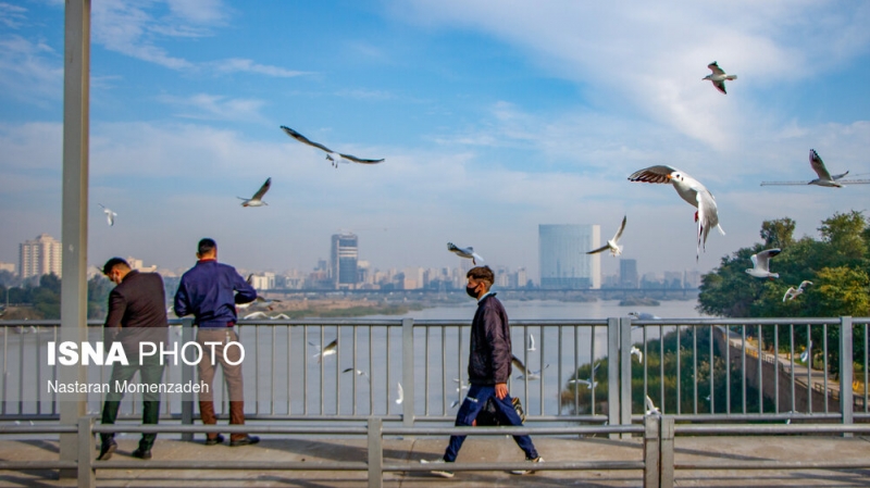 گشتی در خیابان های اهواز