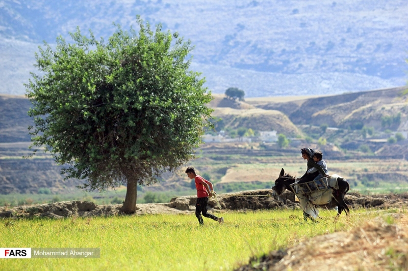 زیبایی‌های ایران_استان خوزستان