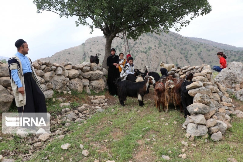 جلوه هایی از بهار طبیعت در منطقه تینا از توابع اندیکا