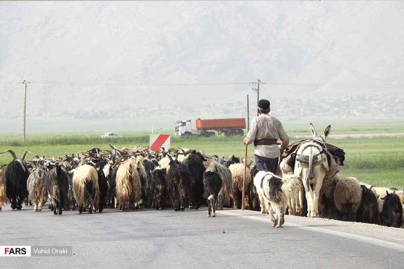 کوچ عشایر خوزستان به استان‌های سردسیر