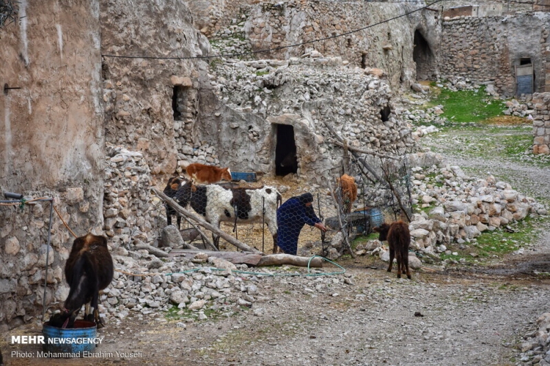 زندگی در دل سنگ