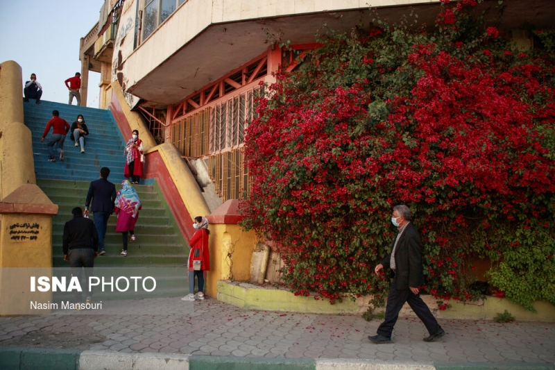 اهواز، شهر گل‌های کاغذی