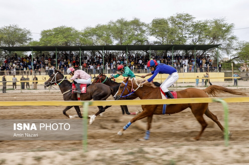 هفته پایانی مسابقات اسب دوانی کشور در اهواز
