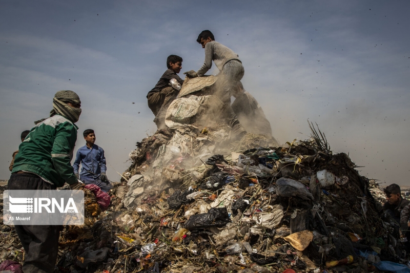 در انتظار زمین پاک