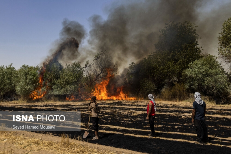 آتش سوزی مجدد در جنگل‌های کرخه شوش