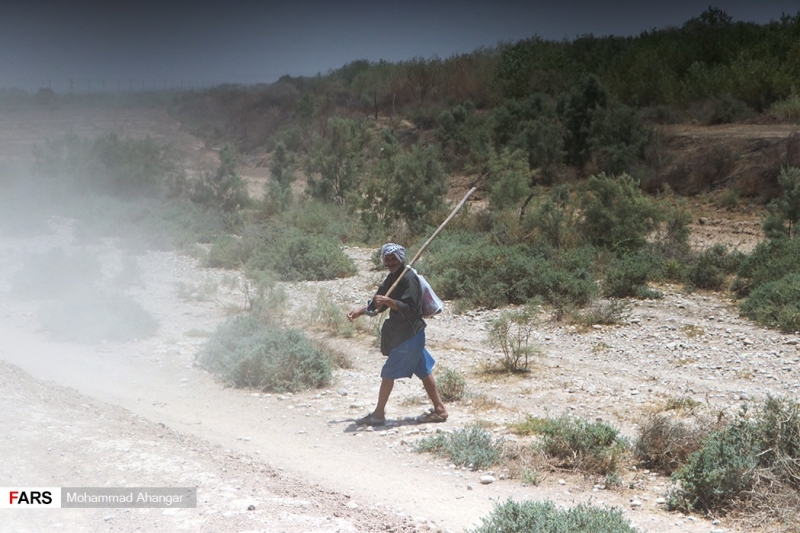 گزارش تصویری/ تالاب هورالعظیم!