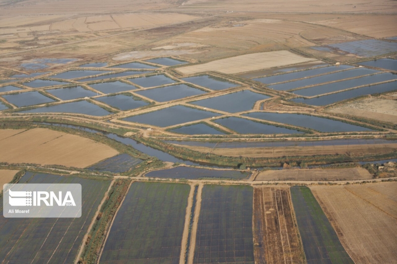 بازدید هوایی  معاون رییس جمهوری از طرح ۵۵۰ هزار هکتاری در شهرهای حمیدیه و دشت آزادگان