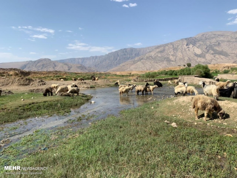 طبیعت روستای« تَرَشُّک»