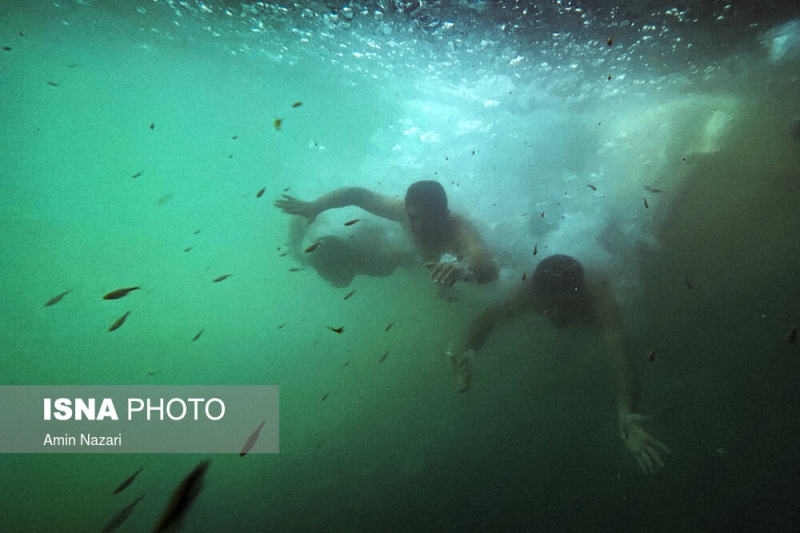 گزارش تصویری/دنیای خنک زیر آب