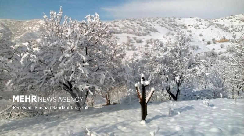 بارش برف در ارتفاعات شهرستان «دزپارت»