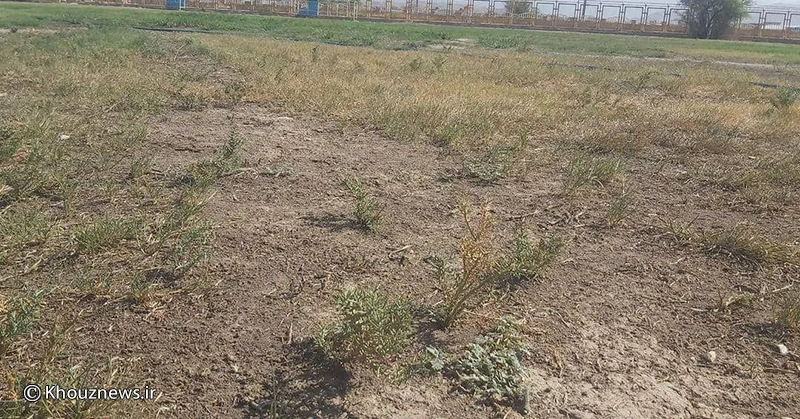 ارسالی از کاربران/ وضعیت اسفبار تنها زمین چمن طبیعی فوتبال شهرستان لالی به روایت تصویر