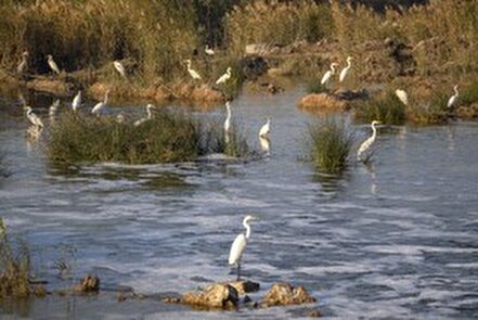 تالاب هورالعظیم