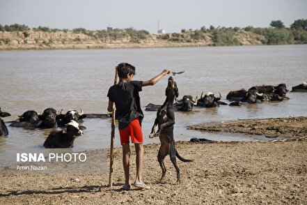 منطقه گاومیش آباد در اهواز