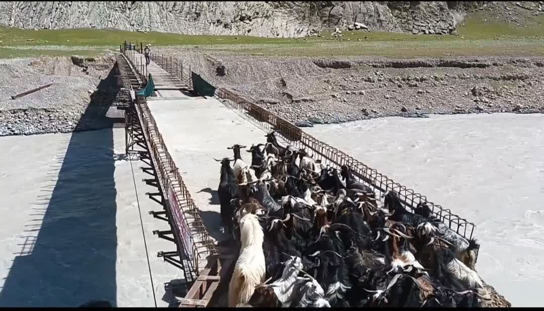پلی که گَرگَر را حذف کرد