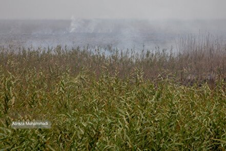 بازدید از تالاب هورالعظیم و نقطه صفر مرزی