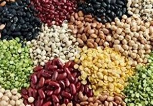 چرا تورم حبوبات از ۶۰ درصد عبور کرد؟/ارز ترجیحی برای پالم و شکلات، ارز توافقی برای حبوبات