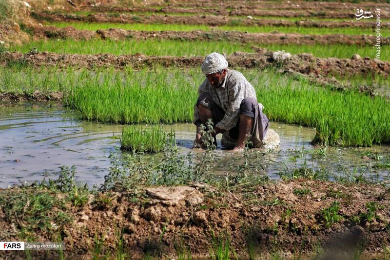 ۷۰ هزار خانواده در آستانه فروپاشی