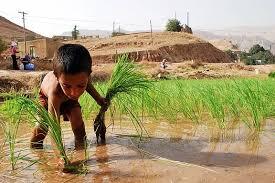 ۷۰ هزار خانواده در آستانه فروپاشی