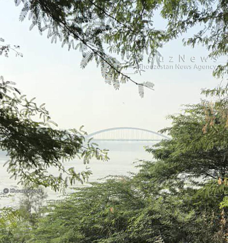 امروز-شدت آلودگی هوا از پارک جزیره/ ارسالی از کاربران