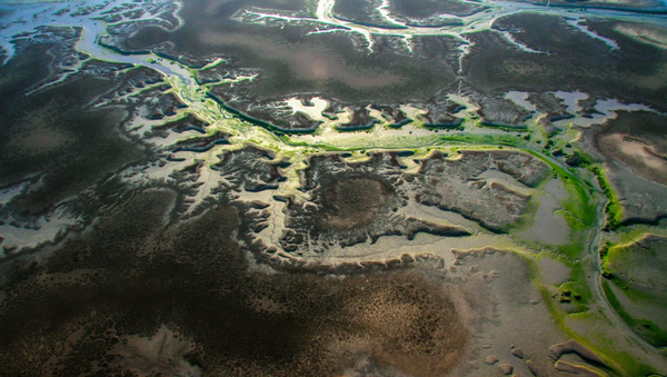 سفری در رگ‌های زنده خلیج‌فارس