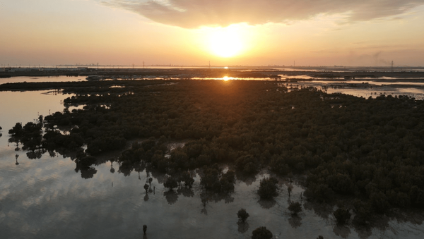 سفری در رگ‌های زنده خلیج‌فارس