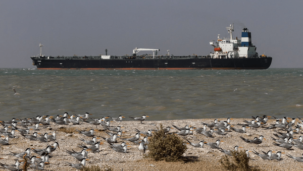 سفری در رگ‌های زنده خلیج‌فارس